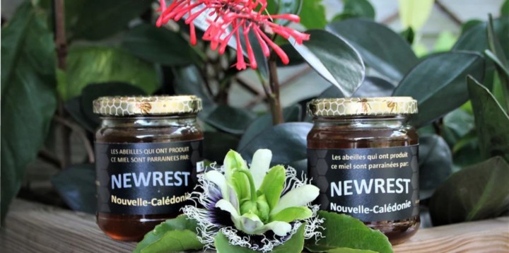 New-Caledonia Partnership Beehives