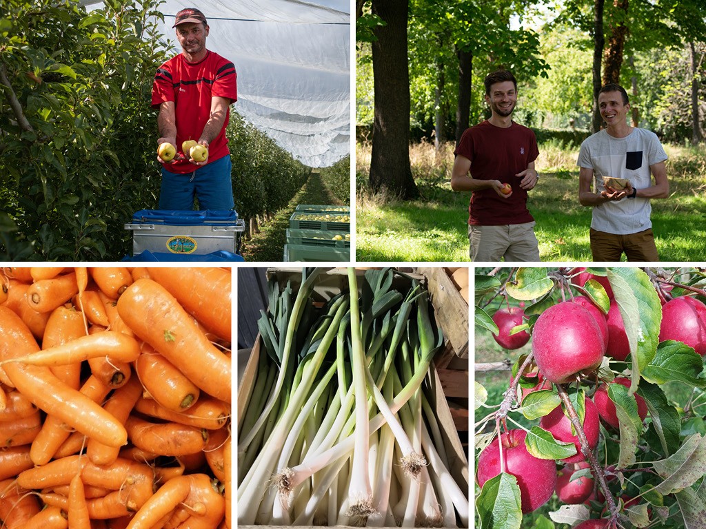 RSE gaspillage alimentaire