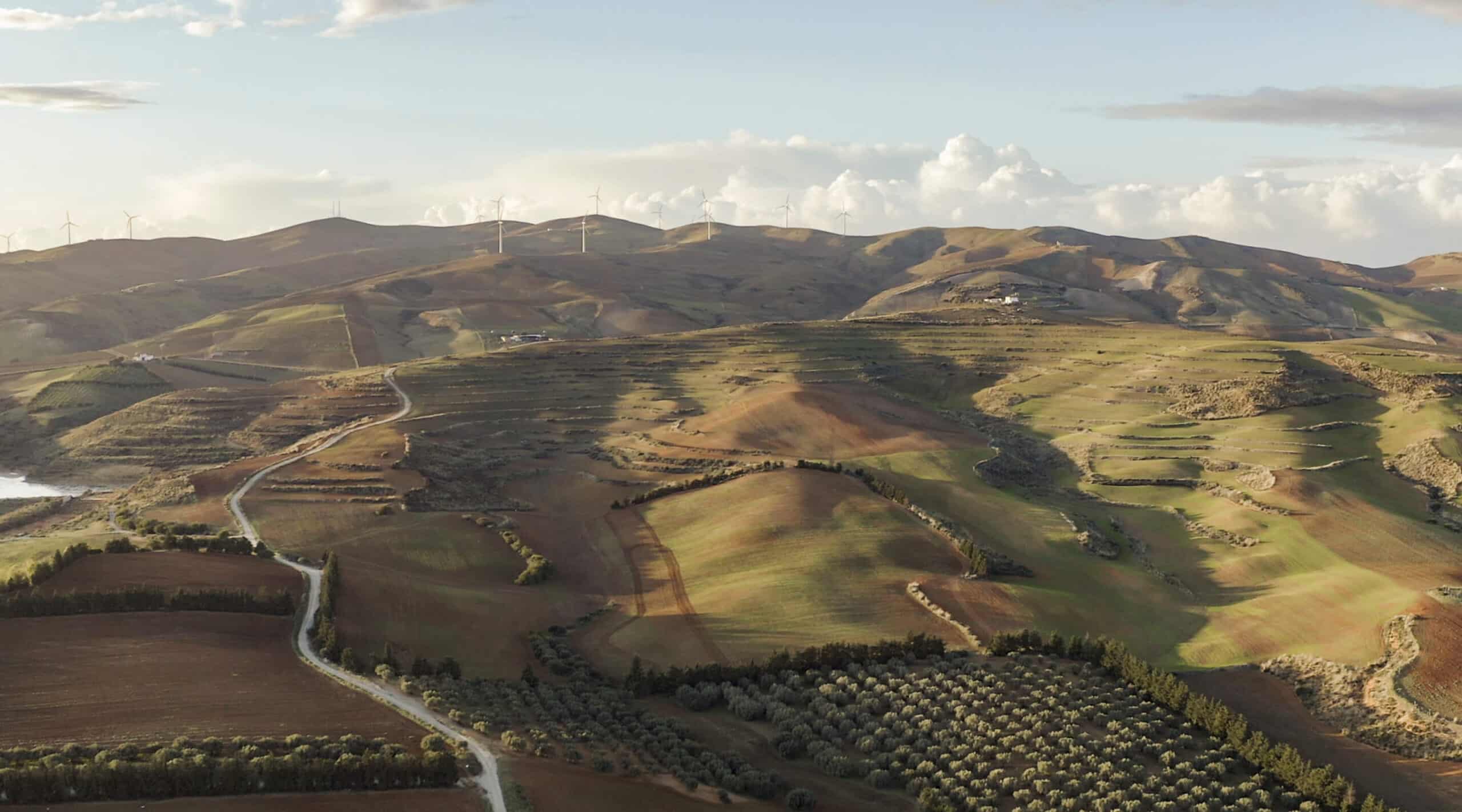 Paysage Groupe Newrest